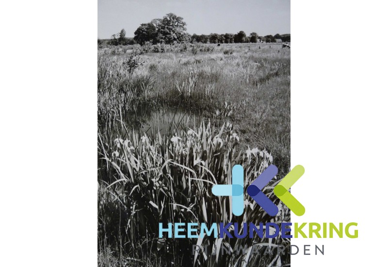 Elten.15 855 Knauheide